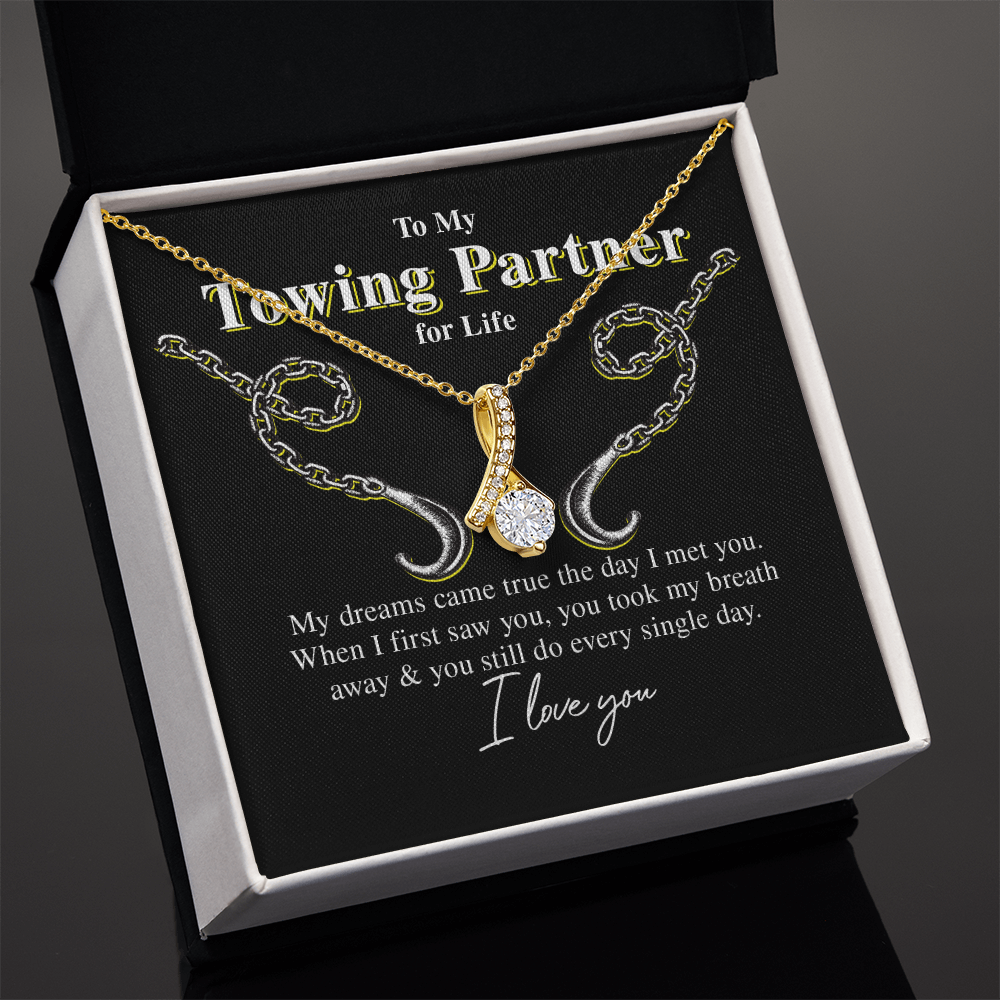 To My Towing Partner for Life, My Dreams Came True - Eternity Necklace