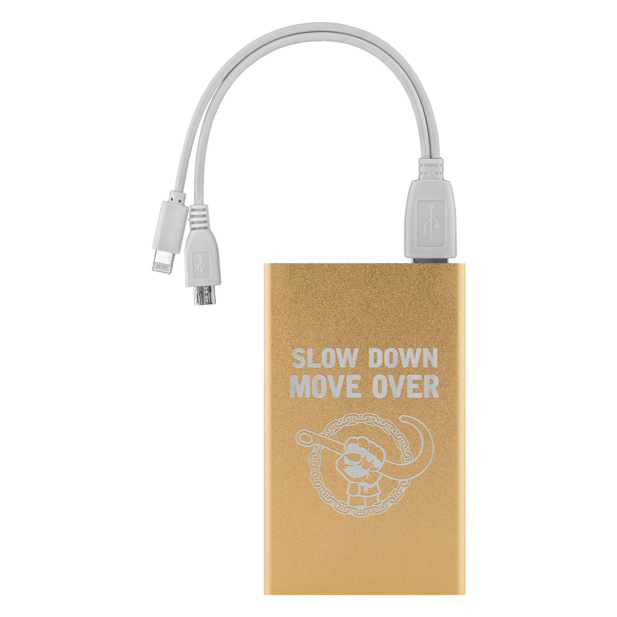 SDMO Power Bank - view 6